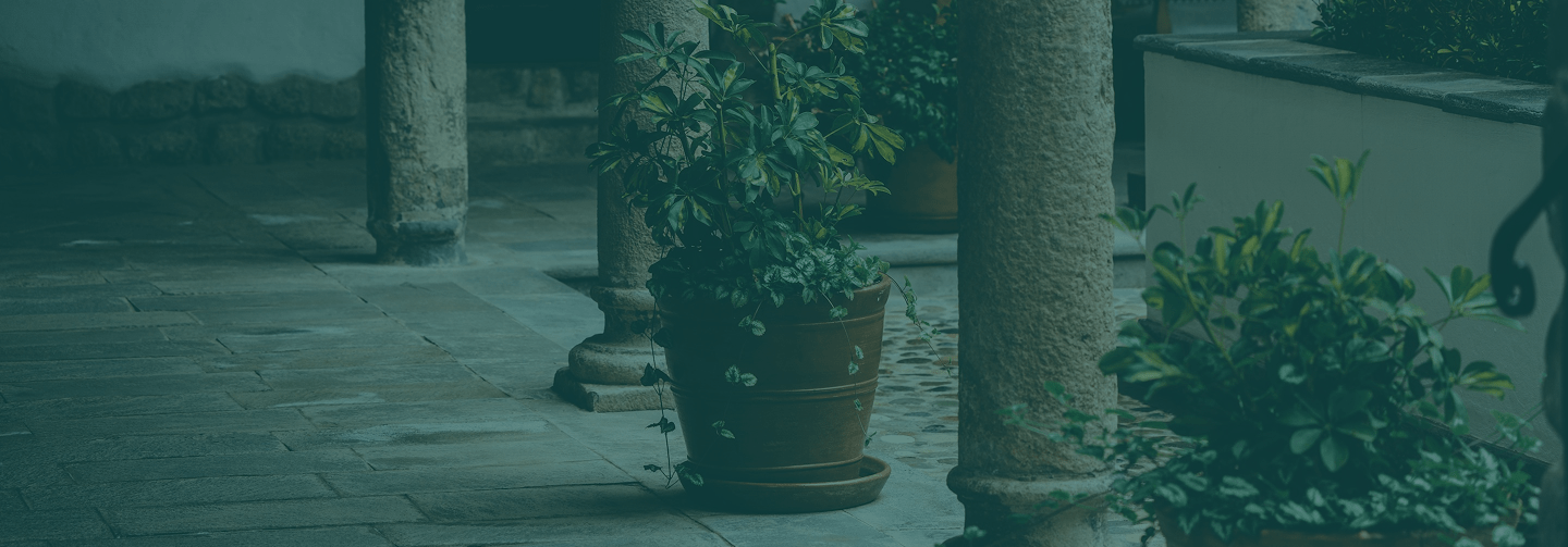 contact banner