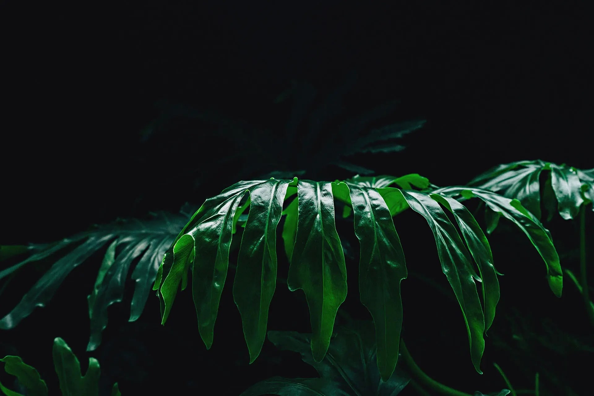 cta bg image min